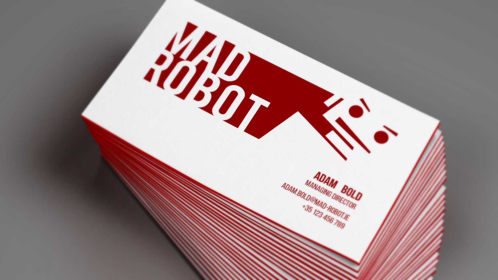 portfolio-mad-robot-02
